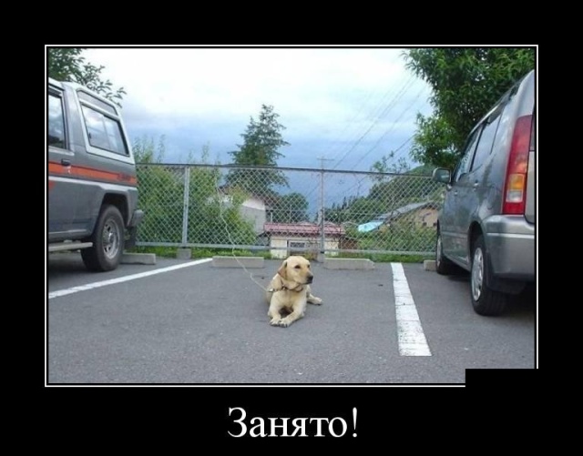 Демотиваторы (30 фото)