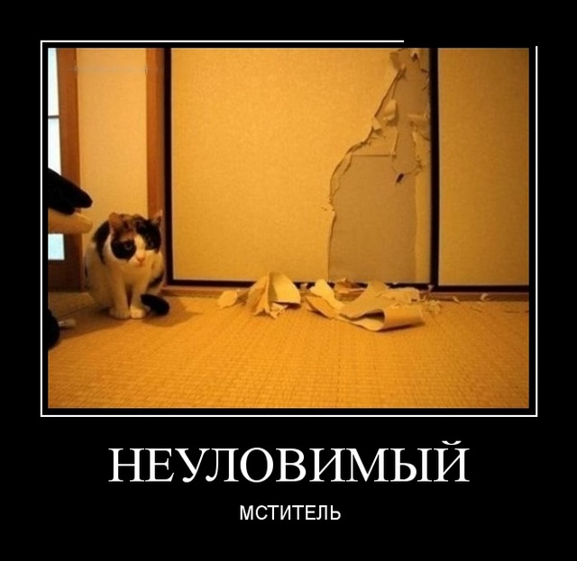 Демотиваторы (30 фото)