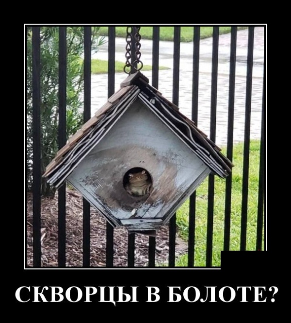 Демотиваторы (30 фото)