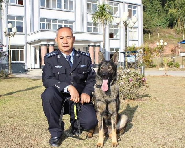 В Китае первый клон полицейской собаки приступил к тренировкам (8 фото)