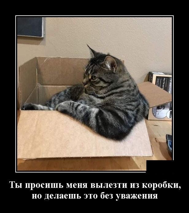 Демотиваторы (30 фото)