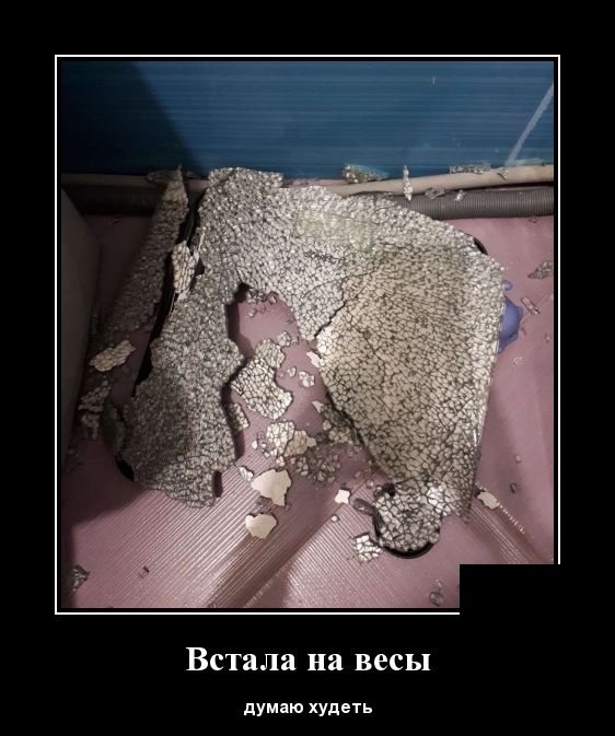Демотиваторы (30 фото)