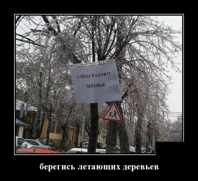 Демотиваторы (30 фото)