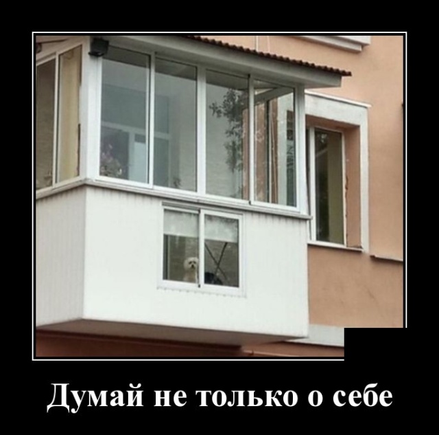 Демотиваторы (30 фото)