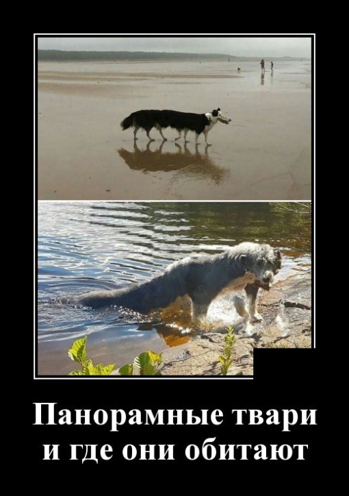 Демотиваторы (30 фото)