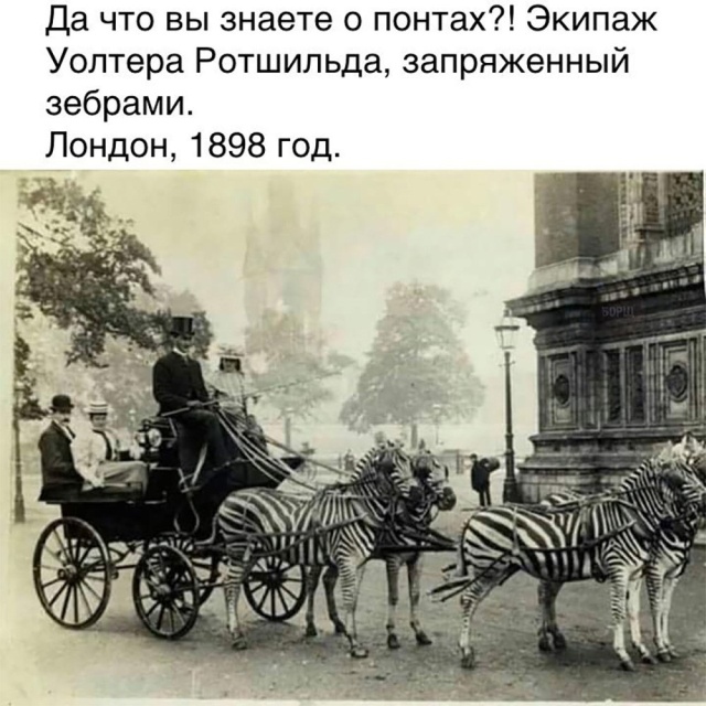Подборка картинок. Вечерний выпуск (20 фото)