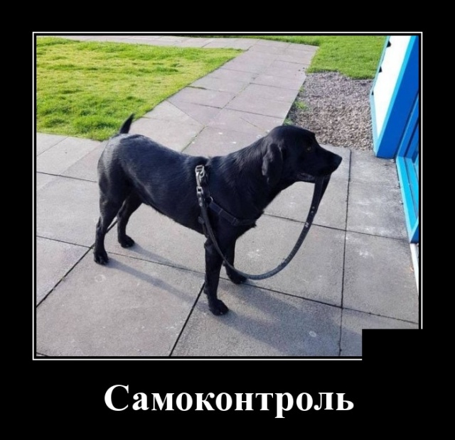Демотиваторы (30 фото)