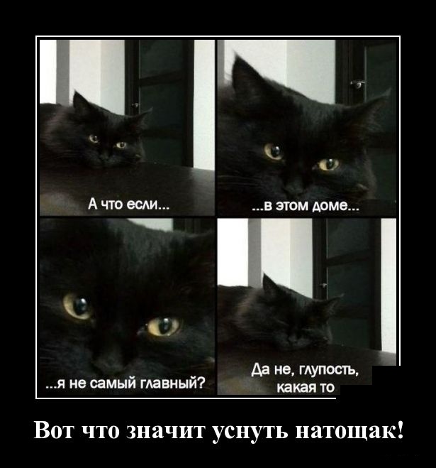 Демотиваторы (30 фото)
