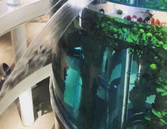 В ТРЦ "Океания" начал протекать огромный аквариум (2 фото +  видео)