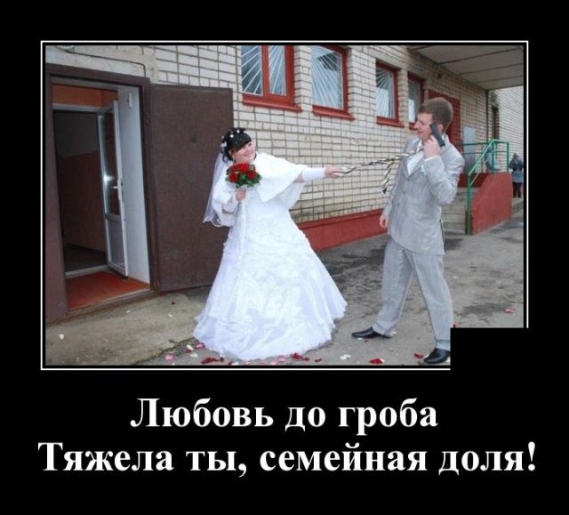 Демотиваторы (30 фото)