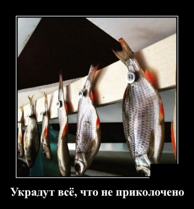 Демотиваторы (30 фото)