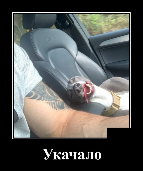 Демотиваторы (30 фото)