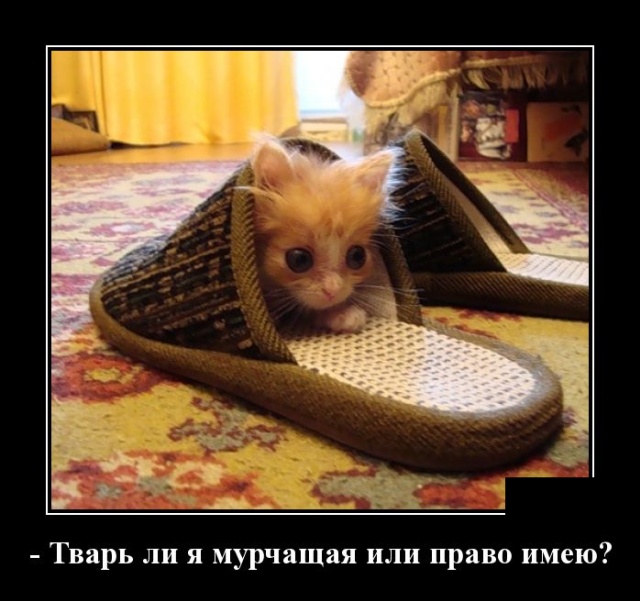 Демотиваторы (30 фото)