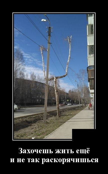 Демотиваторы (30 фото)
