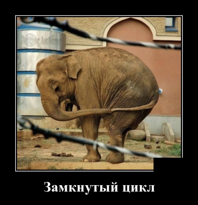 Демотиваторы (30 фото)