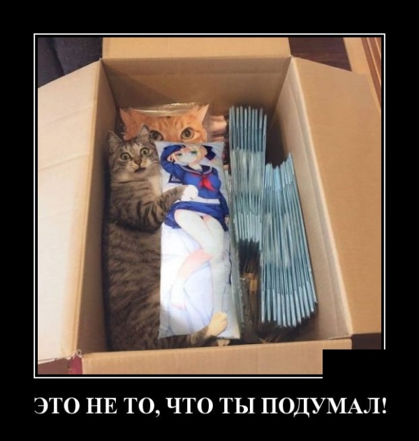 Демотиваторы (30 фото)