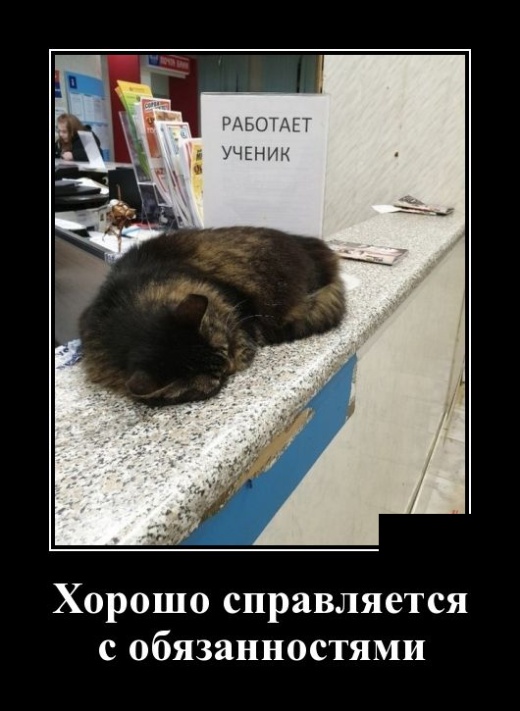 Демотиваторы (30 фото)