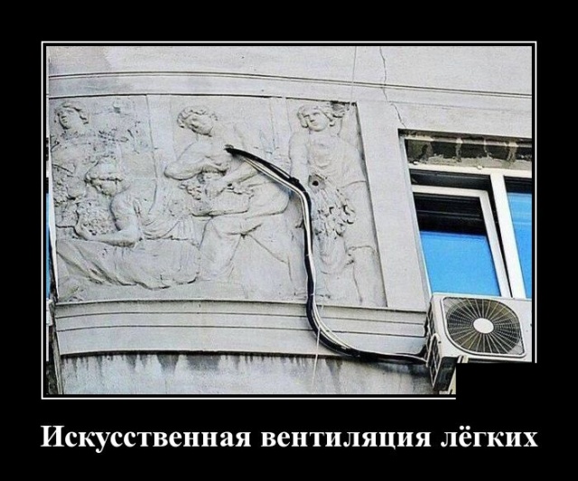 Демотиваторы (30 фото)