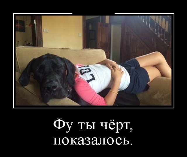 Демотиваторы (30 фото)