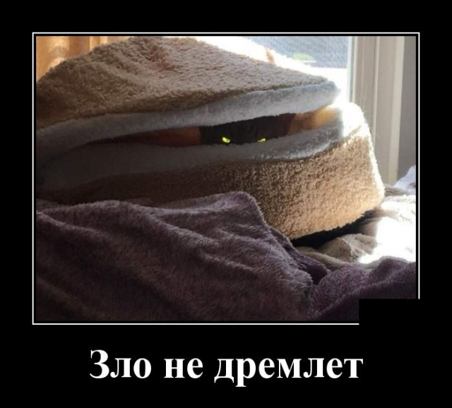 Демотиваторы (30 фото)