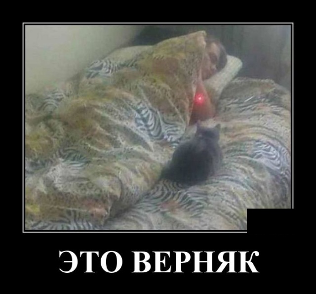 Демотиваторы (30 фото)