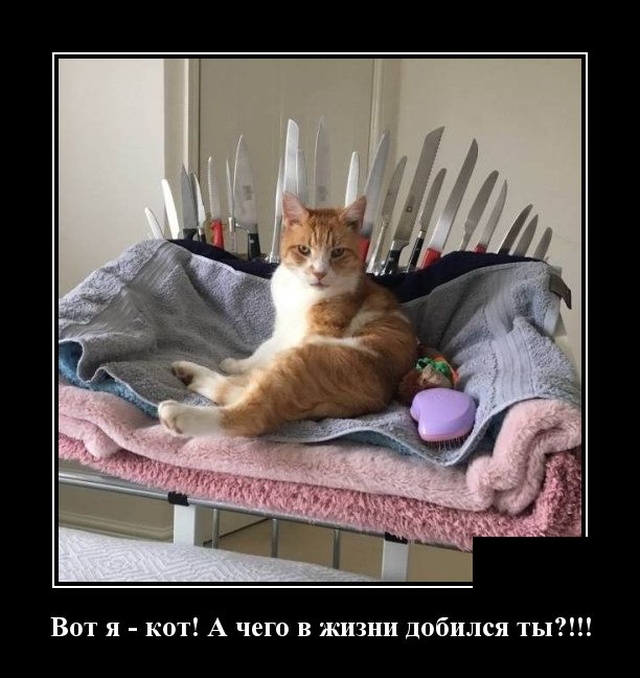 Демотиваторы (30 фото)