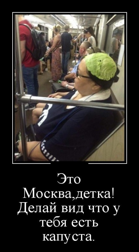 Демотиваторы (30 фото)