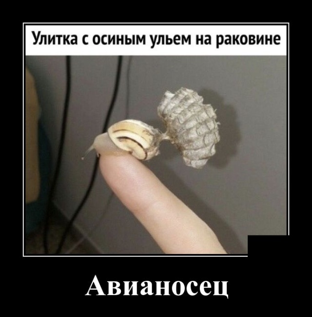 Демотиваторы (30 фото)