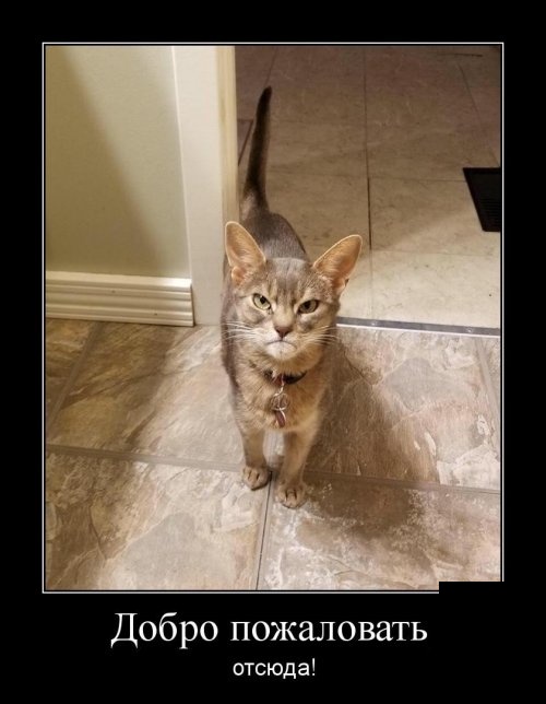Демотиваторы (30 фото)