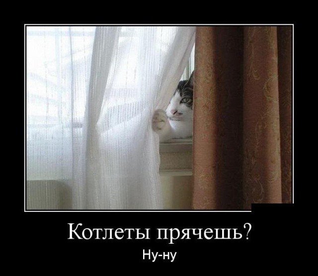 Демотиваторы (30 фото)