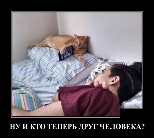 Демотиваторы (30 фото)