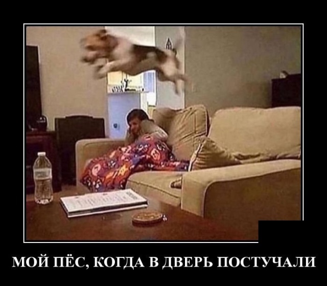 Демотиваторы (30 фото)