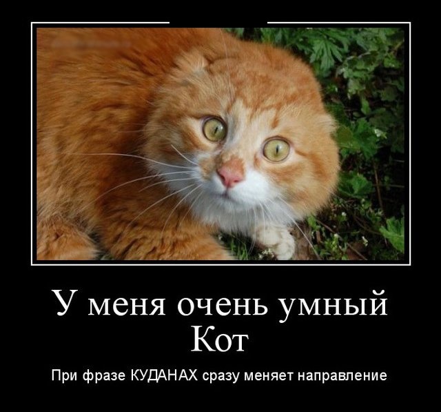 Демотиваторы (30 фото)