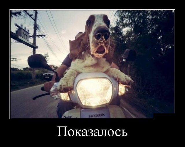Демотиваторы (30 фото)