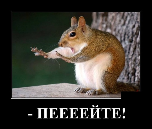 Демотиваторы (30 фото)