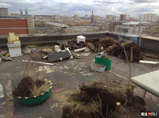 Сотрудники УК уничтожили сад на крыше многоэтажки (13 фото + видео)
