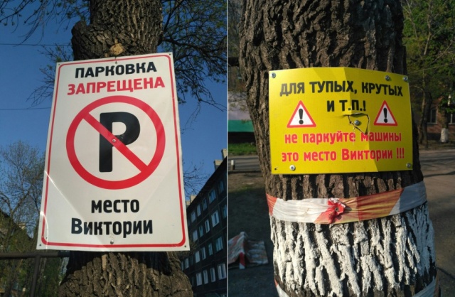Подборка картинок. Дневной выпуск (20 фото)