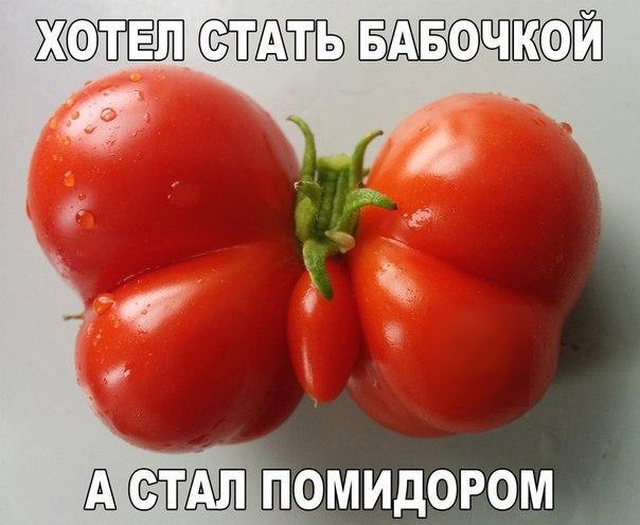 podborka_dnevnaya_11.jpg