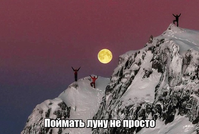 Подборка картинок. Вечерний выпуск (20 фото)