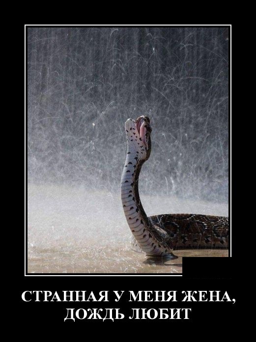 Демотиваторы (30 фото)