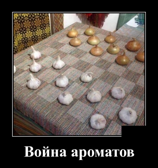 Демотиваторы (30 фото)