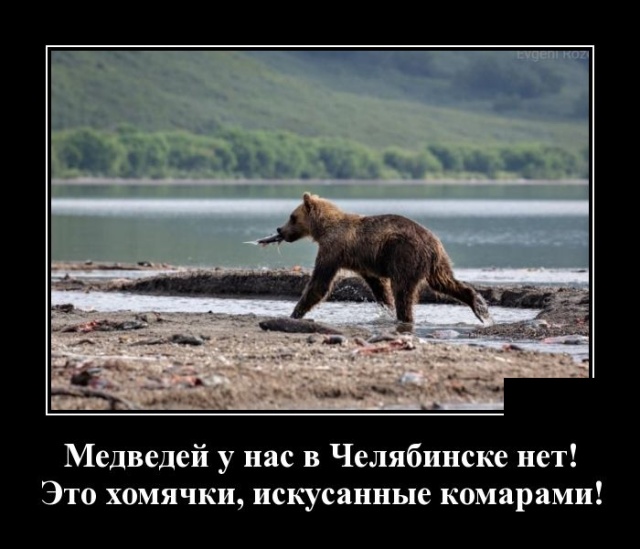 https://cdn.trinixy.ru/pics5/20190520/demotivatory_13.jpg