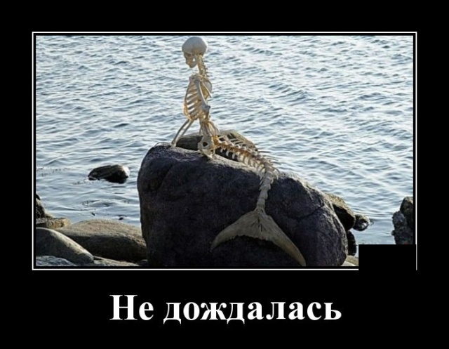 Демотиваторы (30 фото)