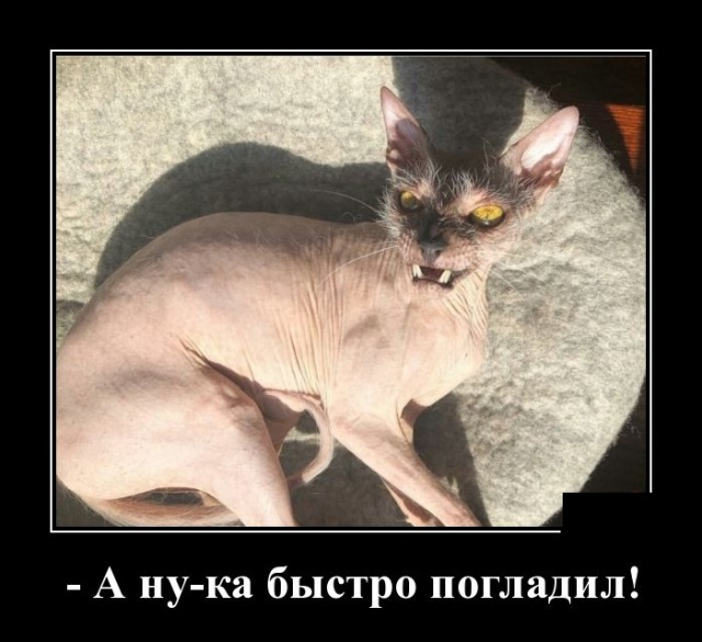 Демотиваторы (30 фото)