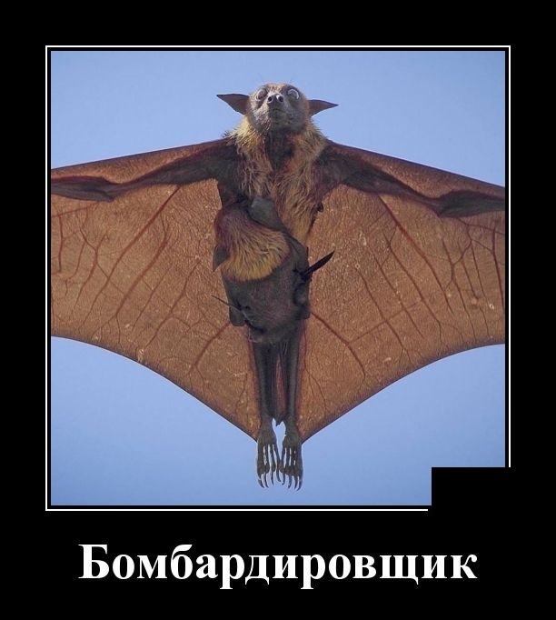 Демотиваторы (30 фото)