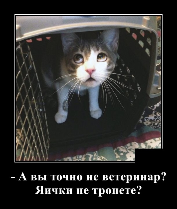 Демотиваторы (30 фото)