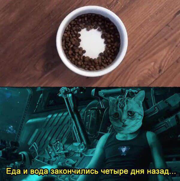 Подборка картинок. Вечерний выпуск (23 фото)