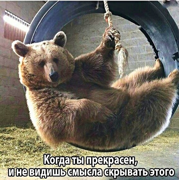 Подборка картинок. Вечерний выпуск (23 фото)