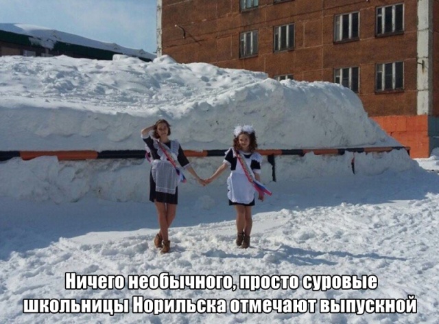 Подборка картинок. Дневной выпуск (26 фото)
