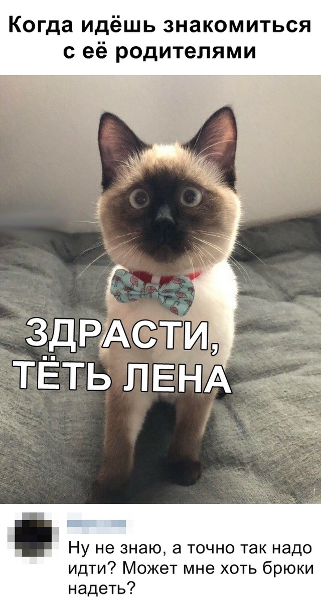 Подборка картинок. Дневной выпуск (30 фото)